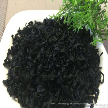 alga marina seca chino corte wakame 16kg comida vegetariana